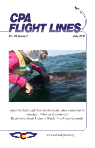 Flight Lines — July 2011